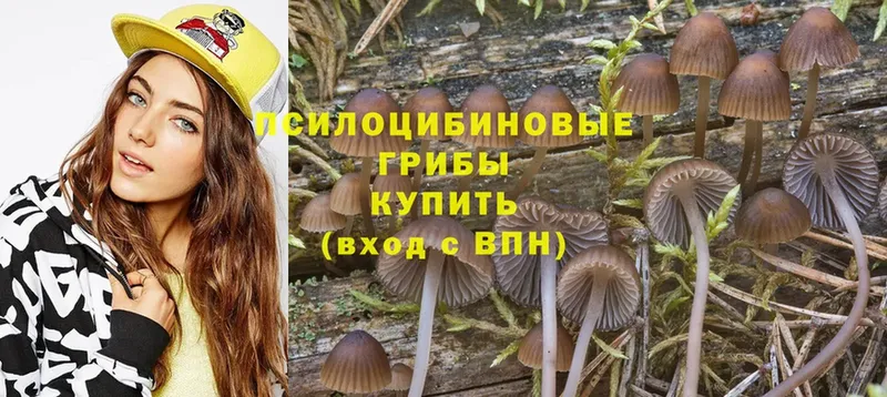 Купить Кингисепп Кокаин  Конопля  АМФ  Гашиш  Меф мяу мяу 