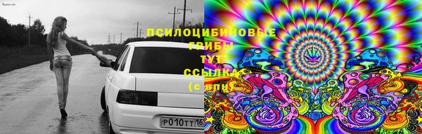 таблы Богородицк